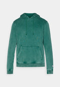 Champion ICONS HOODIE