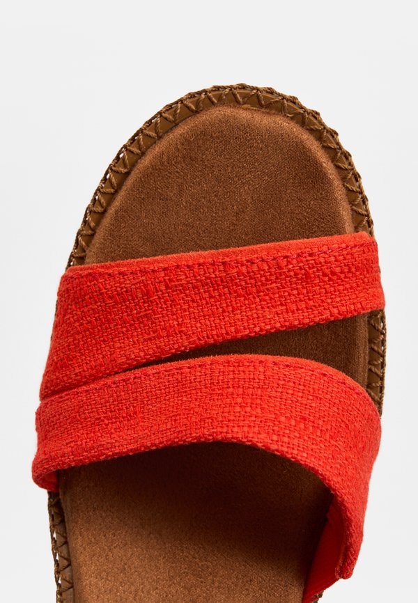 TOMS DARYA