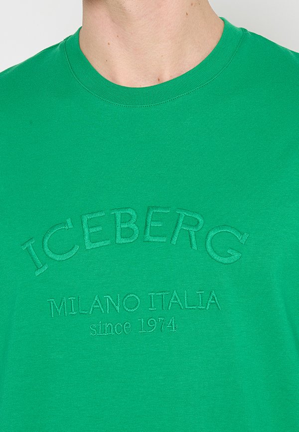 Iceberg