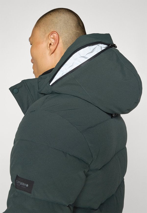 Icepeak BIXBY