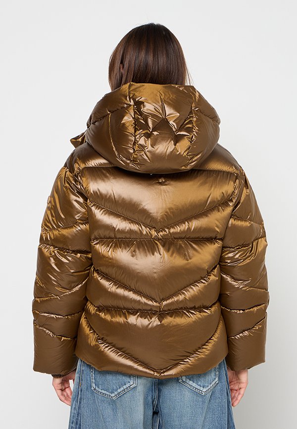 Bogner XALLY