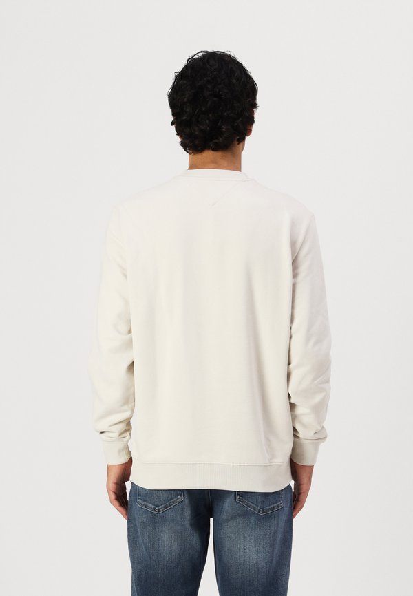 Tommy Jeans ENTRY GRAPHIC CREW