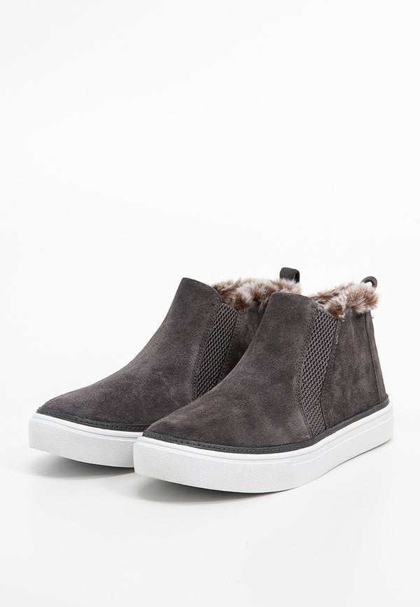 TOMS BRYCE