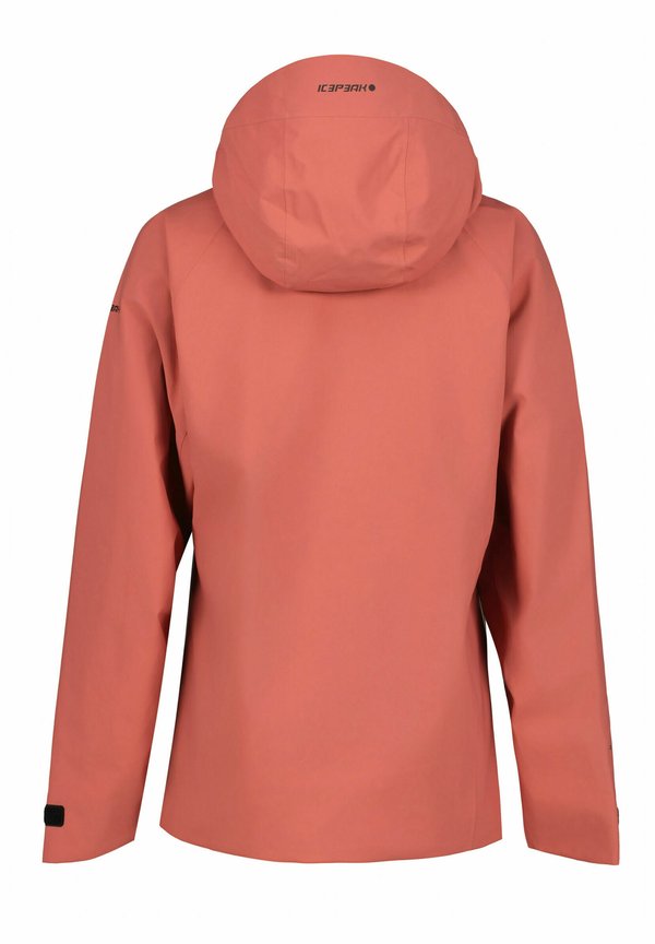 Icepeak DEBLOIS
