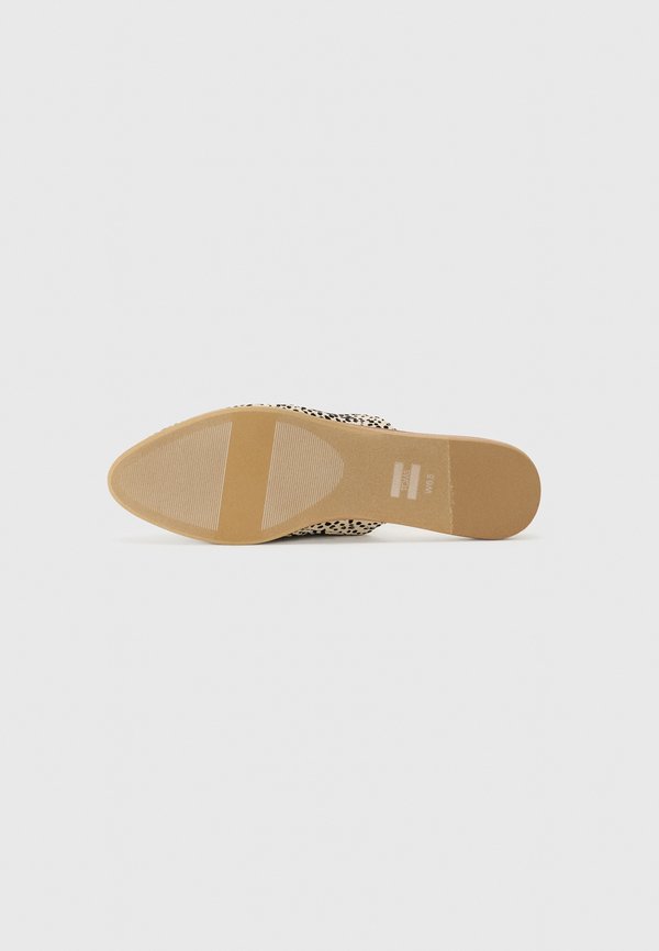 TOMS FOG  JADE