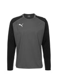 Puma TEAMLIGA