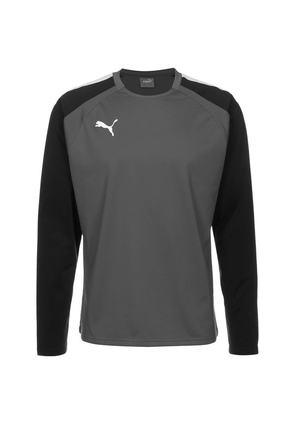 Puma TEAMLIGA
