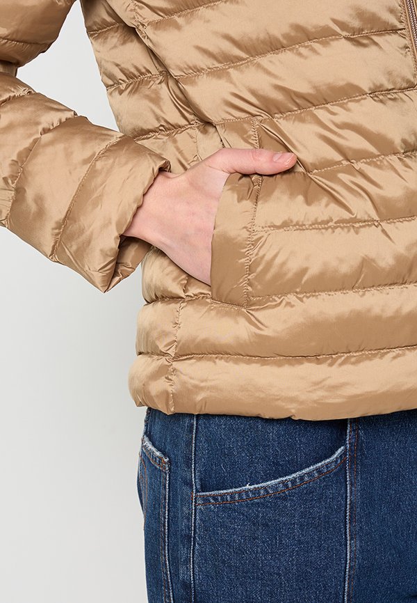 GANT