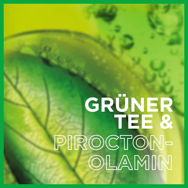 Shampoo Anti-Schuppen Classic GARNIER FRUCTIS
