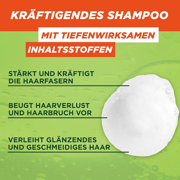 Shampoo Vitamine & Kraft GARNIER FRUCTIS