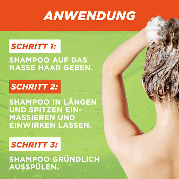 Shampoo Vitamine & Kraft GARNIER FRUCTIS