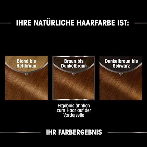 Haarfarbe 5.3 Goldbraun GARNIER olia