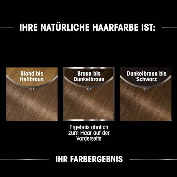 Haarfarbe 6.0 Hellbraun GARNIER olia