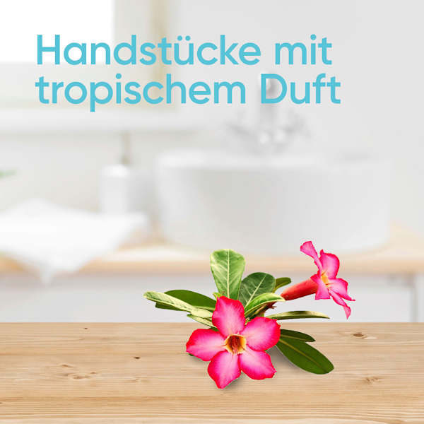 Einwegrasierer, Tropical Gillette Venus
