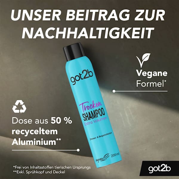 Trockenshampoo Extra Volumen got2b