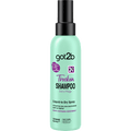 Trockenshampoo Liquid to Dry got2b