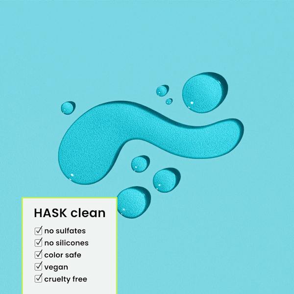 Haaröl Argan Oil HASK