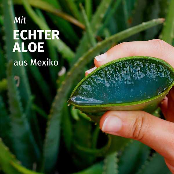 Conditioner Feuchtigkeit Aloe Vera Herbal Essences