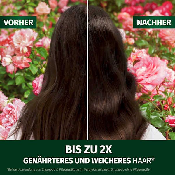 Leave-In Spray Blütensanft Rosenduft Herbal Essences