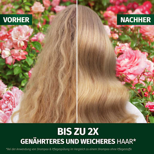 Leave-In Spray Blütensanft Rosenduft Herbal Essences