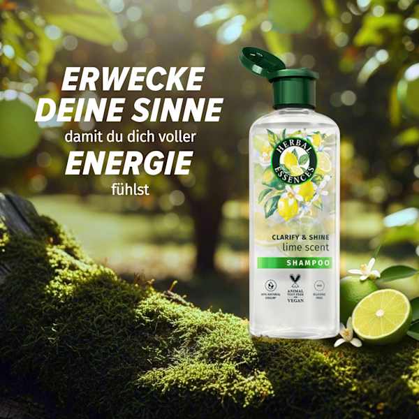 Shampoo Limettenduft, Tiefenreinigung & Glanz Herbal Essences