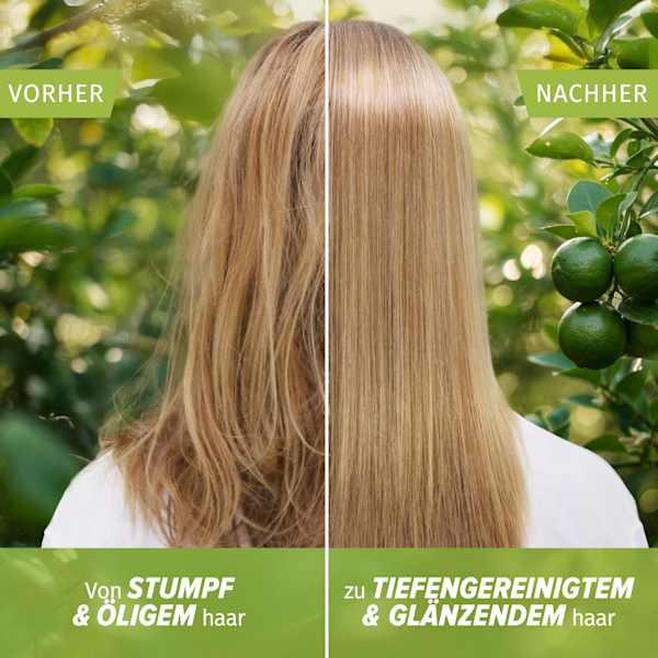 Shampoo Limettenduft, Tiefenreinigung & Glanz Herbal Essences