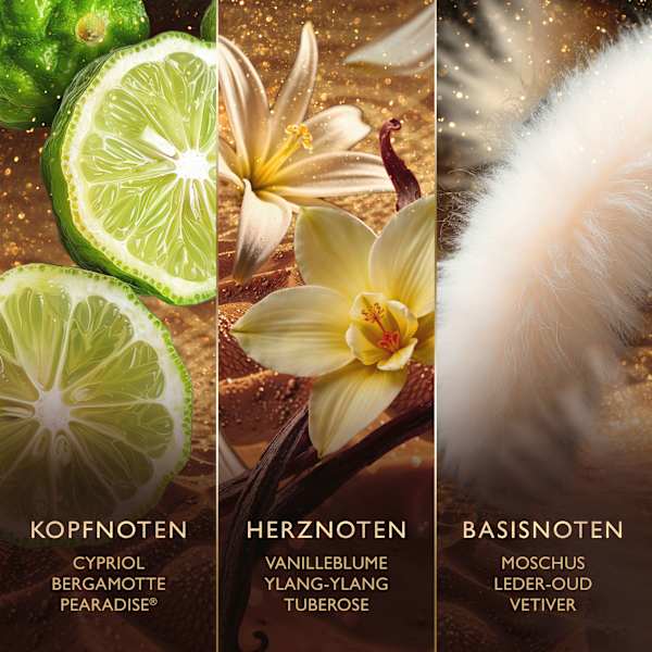 Golden Nectar Eau de Parfum JAWHARA