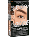 Augenbrauenfarbe Brow Color 3.0 Dark Brunette L'ORÉAL PARiS
