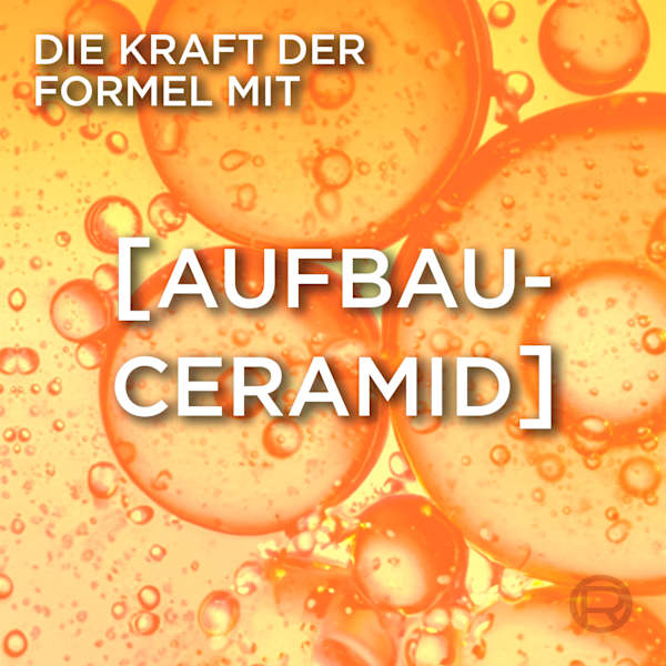 Shampoo Anti-Haarbruch L'ORÉAL PARiS ELVITAL