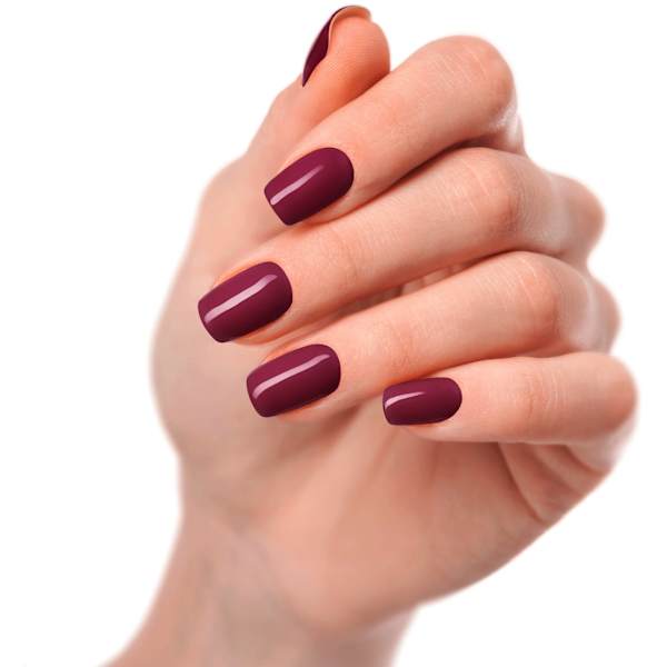 UV Gel Nagelfolien Drama Queen Maniko