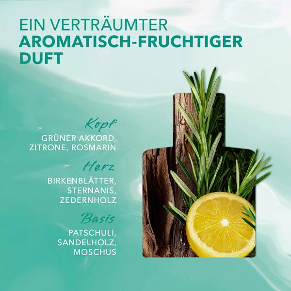 Summer Daydream For Him Eau de Toilette Mexx