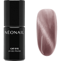 UV Nagellack Cat Eye Glimmering Blush NÉONAIL