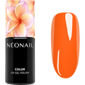 UV Nagellack Inner Flame NÉONAIL