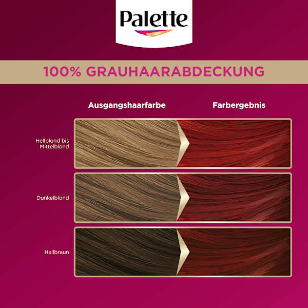 Haarfarbe 6-88 Rubinrot Palette Intensive Color Creme