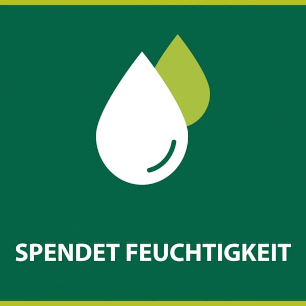 Seifenstück Milch & Honig, Naturals Palmolive