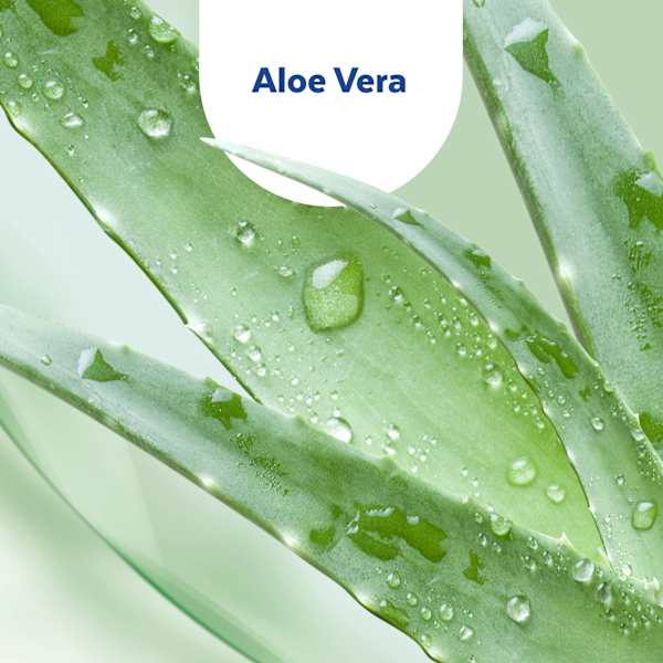 Handdesinfektionsgel Aloe Vera, Reisegröße Sagrotan
