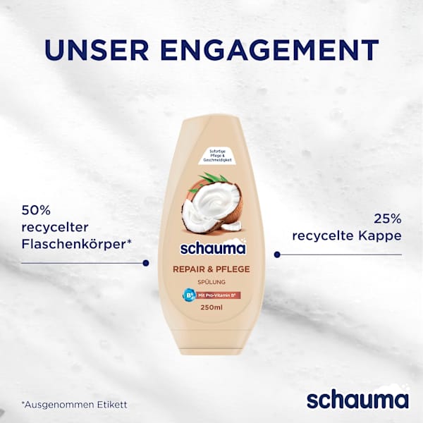 Conditioner Repair & Pflege schauma
