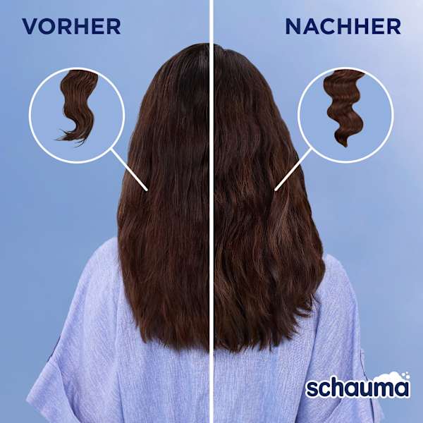 Shampoo 7 Kräuter schauma