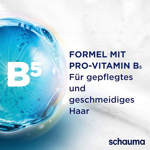 Sprüh-Conditioner Repair & Pflege schauma