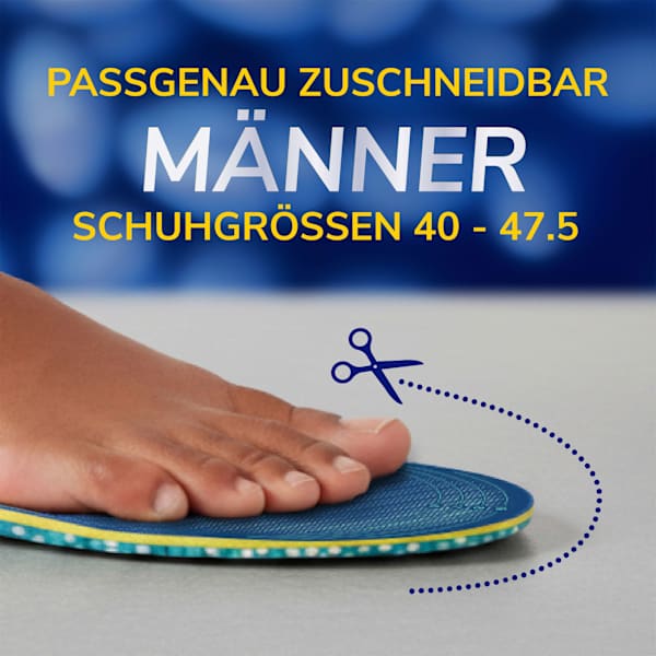 Einlegesohlen 24 hour energy Gr. 40 - 47,5 (1 Paar) Scholl