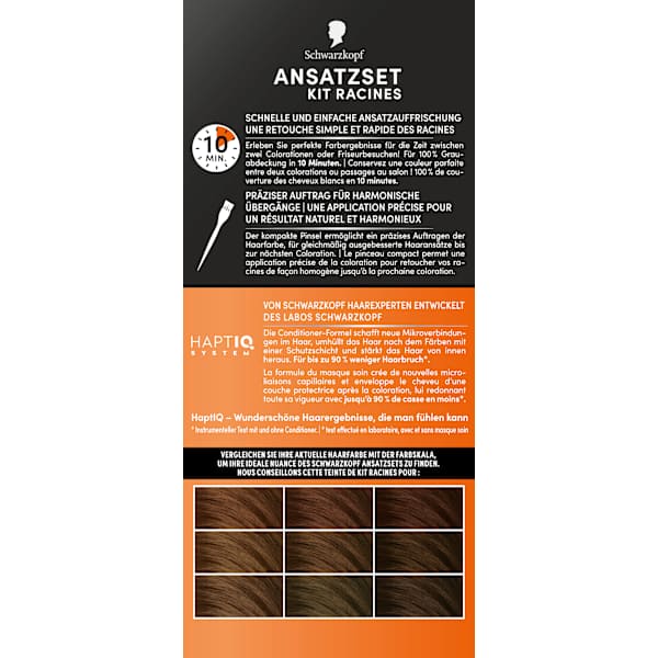 Ansatzset A2 Goldbraun Schwarzkopf