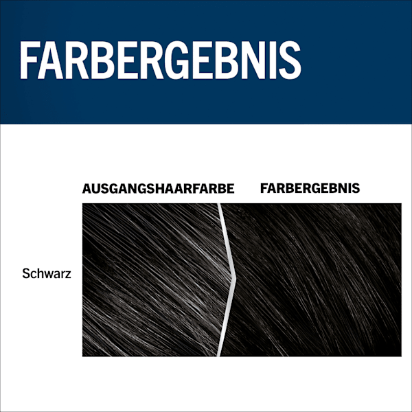 Intensivtönung Anti-Grau-Gel 90 Schwarz Schwarzkopf Men Perfect