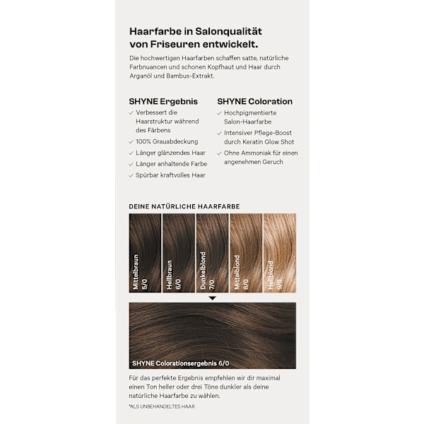 Haarfarbe 6/0 Berlin Hellbraun Natur SHYNE Professional