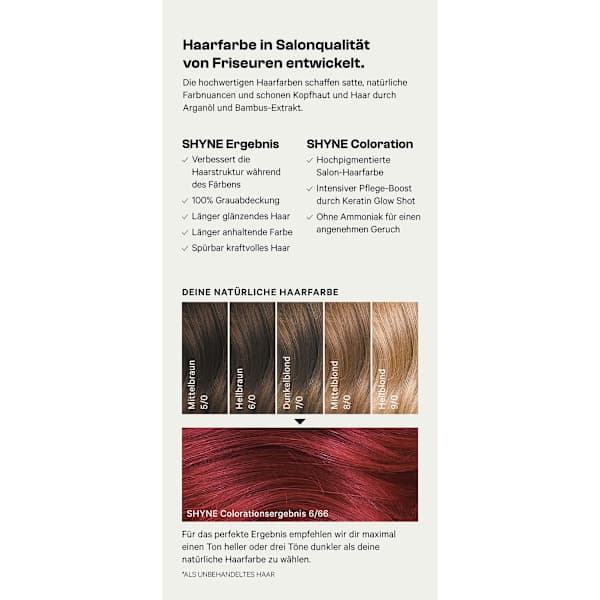 Haarfarbe 6/66 Seville Mittelrot Violett Intensiv SHYNE Professional