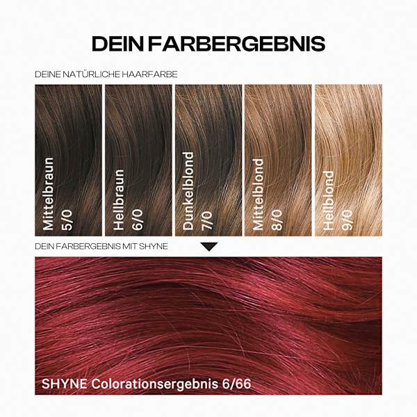 Haarfarbe 6/66 Seville Mittelrot Violett Intensiv SHYNE Professional