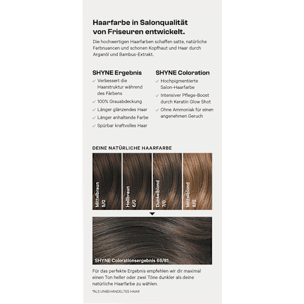 Haarfarbe 66/81 Singapore Hellbraun Asch-Intensiv SHYNE Professional