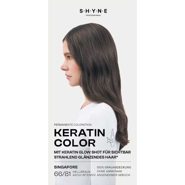 Haarfarbe 66/81 Singapore Hellbraun Asch-Intensiv SHYNE Professional