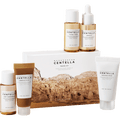 Geschenkset Madagascar Centella Travel Kit 5tlg SKIN1004