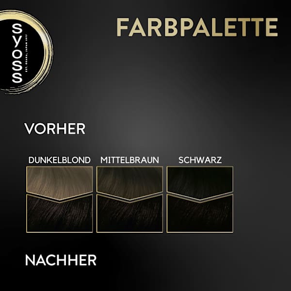Haarfarbe 2_10 Schwarzbraun Syoss Oleo Intense