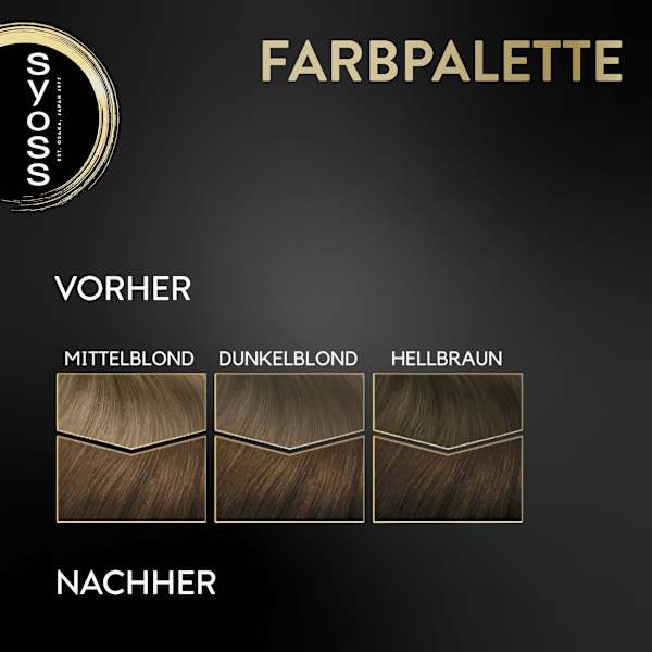 Haarfarbe 6_10 Dunkelblond Syoss Oleo Intense